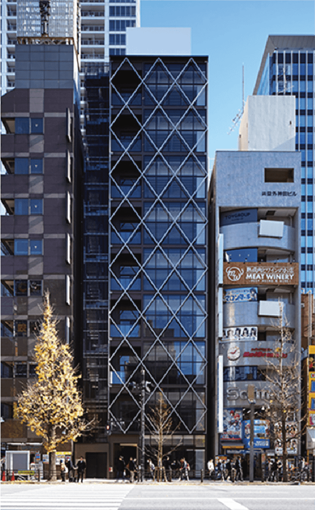 Akihabara Development Project